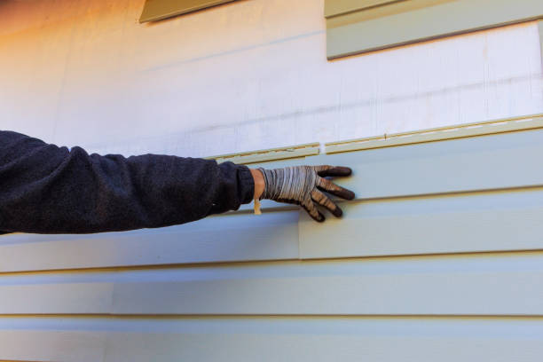 Affordable Siding Repair and Maintenance Services in Robersonville, NC